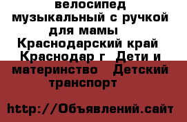 велосипед музыкальный с ручкой для мамы  - Краснодарский край, Краснодар г. Дети и материнство » Детский транспорт   